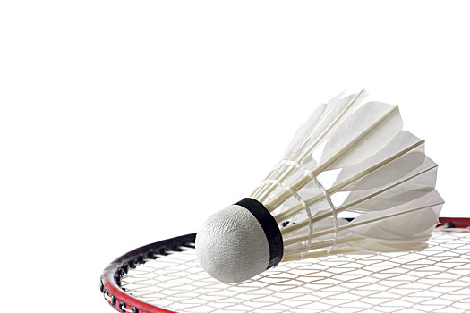 退役和现役 退役和现役