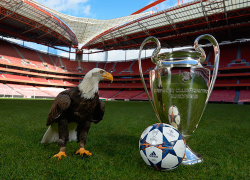 外线缩短轮 外线缩短轮