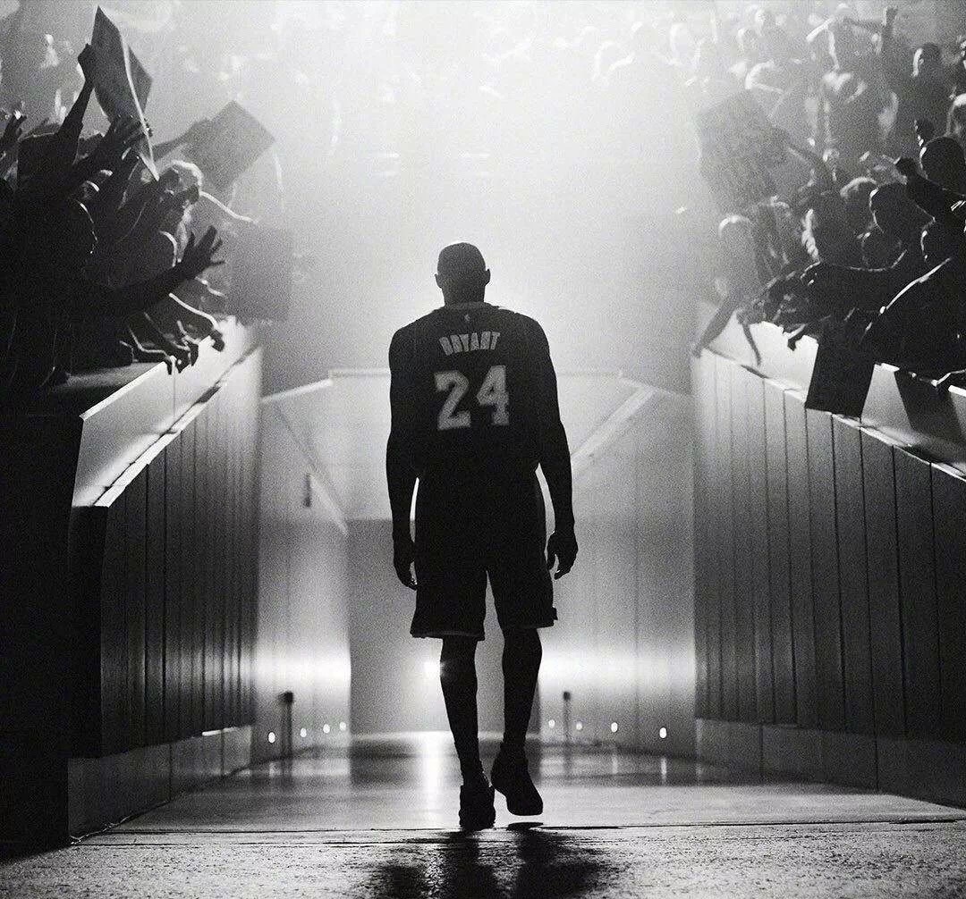 这就是资金 这就是资金